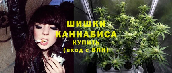 сатива Белокуриха
