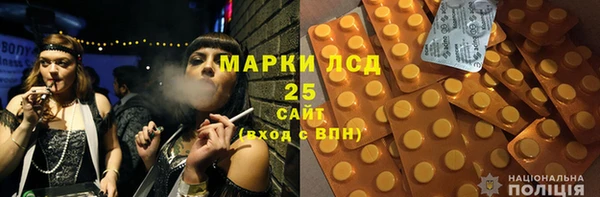 ГАЛЛЮЦИНОГЕННЫЕ ГРИБЫ Белоозёрский