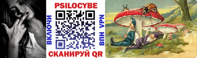 Купить где  Пушкино  Псилоцибиновые грибы Psilocybe 